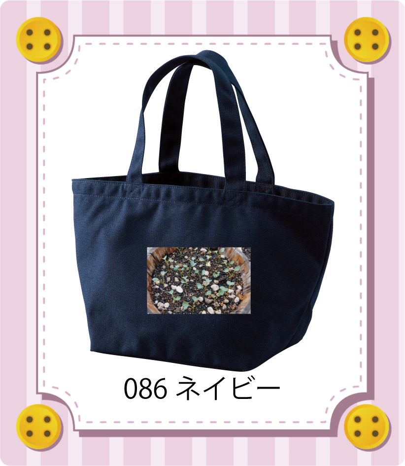 商品イメージ