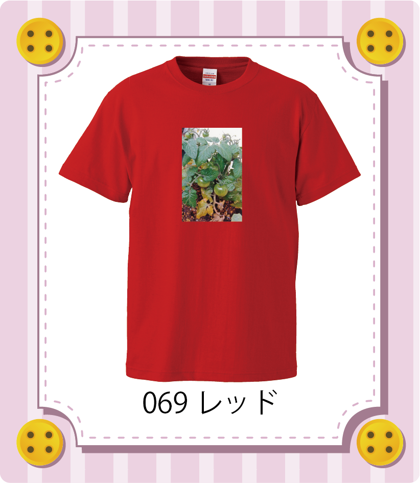 商品イメージ