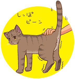 作品画像